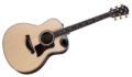 2020 Taylor 816ce Builders Edition 0