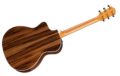 2020 Taylor 214ce SG LTD 1