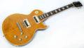 2010 Gibson Les Paul Standard Slash AFD Aged & Signed 2
