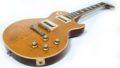 2010 Gibson Les Paul Standard Slash AFD Aged & Signed 7
