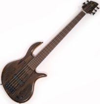 Elrick Gold Series 5-String Bass Ziricote Top