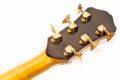 2004 Dupont Privilège 17 » Archtop proto 16