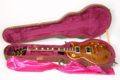 1995 Gibson Les Paul Standard Premium Plus Rootbeer 11