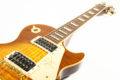 1996 Gibson Les Paul Jimmy Page Signature 4