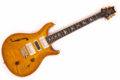 2023 PRS Special Semi-Hollow 10 Top 0