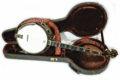 1930’s Gibson banjo TB-3 conversion 5 strings 8