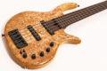 2011 Elrick Gold e-volution 5 strings Burl Maple Top 2