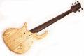 2011 Elrick Gold e-volution 5 strings Burl Maple Top 6