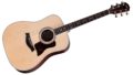 Taylor Legacy 810e 0