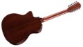 Taylor 354ce 12 Strings 1