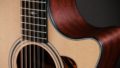 Taylor 354ce 12 Strings 3