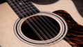 Taylor 354ce 12 Strings 4