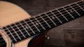 Taylor 354ce 12 Strings 5