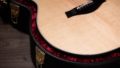 Taylor 354ce 12 Strings 6