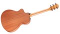 Taylor 112ce Eucalyptus 1