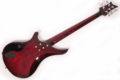 Vigier Passion IV 5 strings Deep Burgundy 6