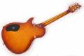 Vigier G.V. Wood Amber 8