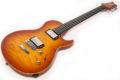 Vigier G.V. Wood Amber 2