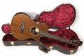 2018 Taylor Presentation PS12ce 12Frets 13