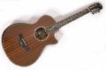 2018 Taylor Presentation PS12ce 12Frets 0