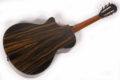 2018 Taylor Presentation PS12ce 12Frets 11
