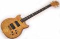 1995 Alembic Stanley Clark Standard 1