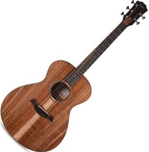 Taylor JCSM-5 Jacob Collier Signature Model 5-String