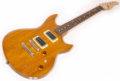 Tom Anderson Wolfhound Mutt Transparent Amber 2