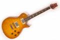 2021 PRS McCarty 594 Singlecut Joe Walsh Limited Edition 0