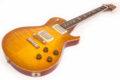2021 PRS McCarty 594 Singlecut Joe Walsh Limited Edition 2