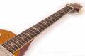 2021 PRS McCarty 594 Singlecut Joe Walsh Limited Edition 4