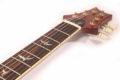 2021 PRS McCarty 594 Singlecut Joe Walsh Limited Edition 5