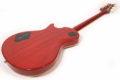2021 PRS McCarty 594 Singlecut Joe Walsh Limited Edition 9