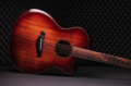 Taylor 2026 Catch Custom C24ce Shaded Edgeburst 2