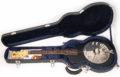 2012 National Reso-Tone Electric Resophonic 9