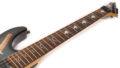 1995 ESP Custom Shop George Lynch Skulls & Snakes 7