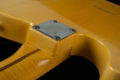 2026 Nacho Telecaster Blackguard Flamcho s/n 1548 14