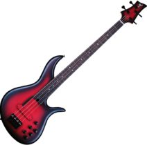 2019 F Bass AC4 Signature Matte Red Burst