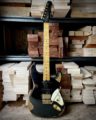 Shabat Lynx DZ Dweezil Zappa 1
