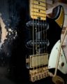 Shabat Lynx DZ Dweezil Zappa 3