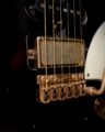Shabat Lynx DZ Dweezil Zappa 5