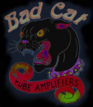 Bad Cat