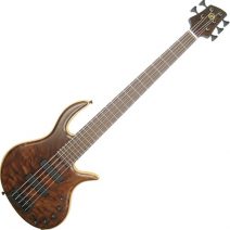 Elrick Gold e-volution 5 Strings Figured Claro Walnut Top