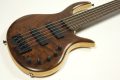 Elrick Gold e-volution 5 Strings Figured Claro Walnut Top 3